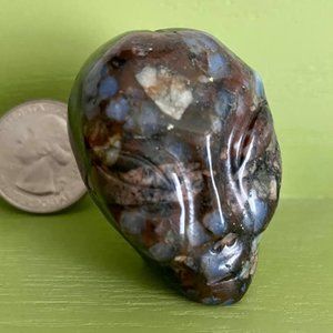 Alien head in rhyolite (qué será) jasper